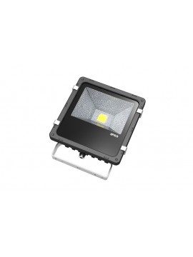 20W LED Flutlicht